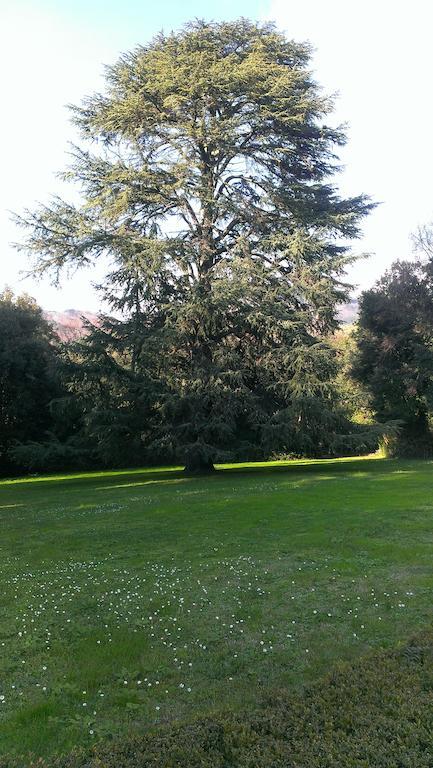 Villa Fattoria Michela Matraia Exterior foto